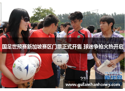 国足世预赛新加坡赛区门票正式开售 球迷争抢火热开启