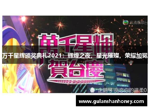 万千星辉颁奖典礼2021：辉煌之夜，星光璀璨，荣耀加冕