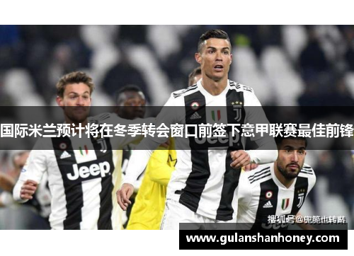 国际米兰预计将在冬季转会窗口前签下意甲联赛最佳前锋