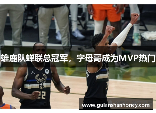 雄鹿队蝉联总冠军，字母哥成为MVP热门