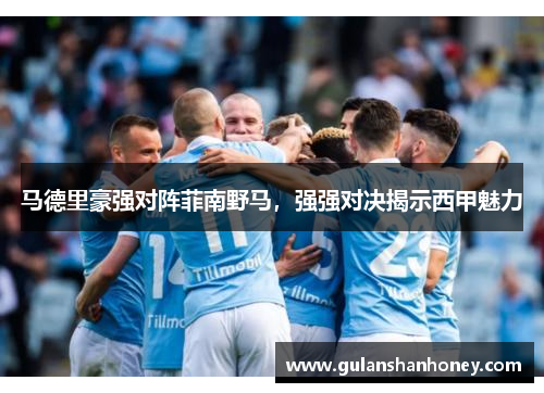 马德里豪强对阵菲南野马，强强对决揭示西甲魅力