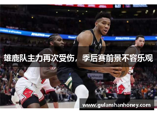 雄鹿队主力再次受伤，季后赛前景不容乐观