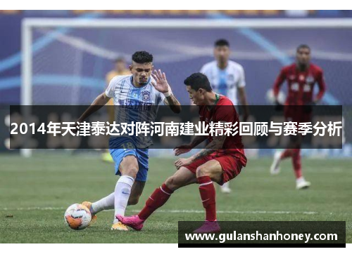 2014年天津泰达对阵河南建业精彩回顾与赛季分析