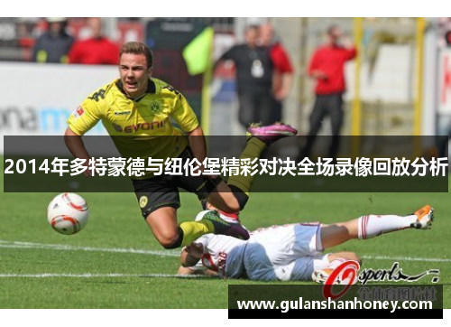 2014年多特蒙德与纽伦堡精彩对决全场录像回放分析