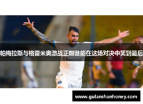 帕梅拉斯与格雷米奥激战正酣谁能在这场对决中笑到最后